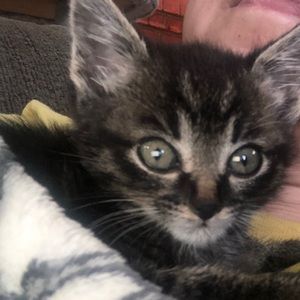 Meet your Posher, Jas